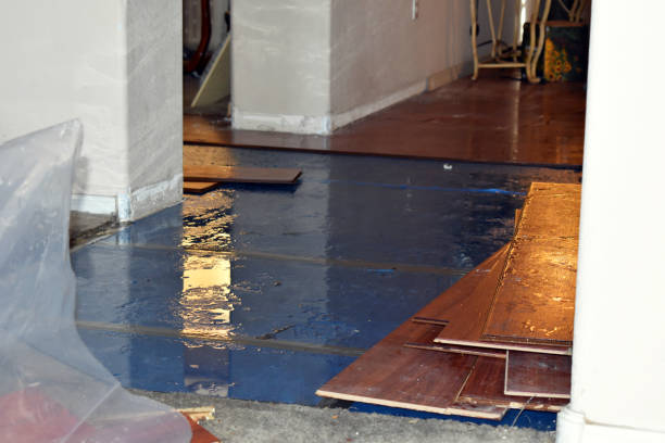 Professional Water Damage technician working in Cutler, CA
